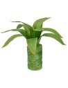 Agave moldeable 10 cm Mundo Pesebres