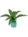Agave modellabile 5 cm Mondo Presepi