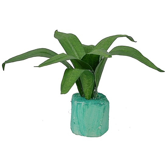 Mouldable agave 5 cm