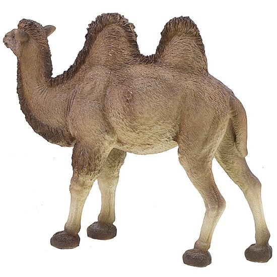 Camel with resin cape cm 45x14x38 h