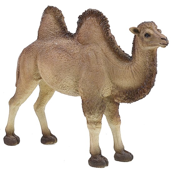 Camel with resin cape cm 45x14x38 h