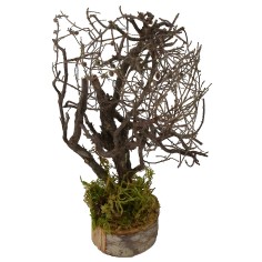 Albero con rami cm 5x5x19 h Mondo Presepi 2
