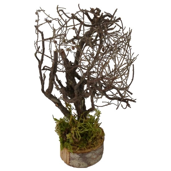 Tree with branches cm 5x5x19 h