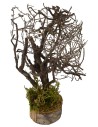 Albero con rami cm 5x5x19 h Mondo Presepi