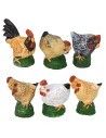 Set 6 gallinacei in resina per statue da 8 cm