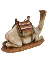 Camel Landi Moranduzzo series 20 cm