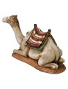 Camel Landi Moranduzzo series 20 cm