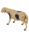 Pecora pezzata per statue da 30 cm