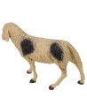 Spotted sheep with high head for 30 cm statues