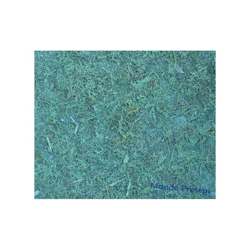 Moss paper cm 75x50