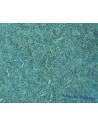 Hoja de musgo cm 75x50
