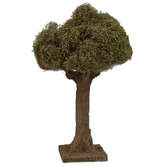 Olivo altezza 20 cm Mondo Presepi