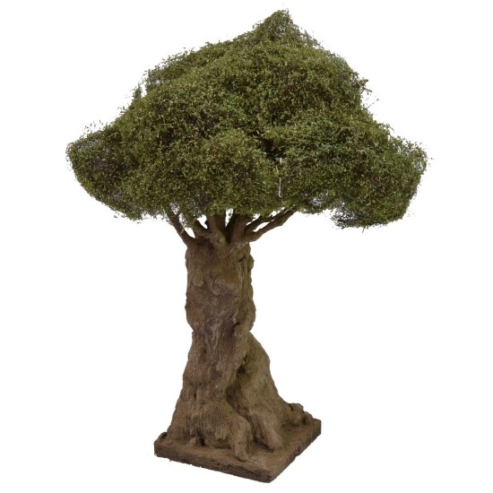 Olivo secolare ramificato altezza 27 cm