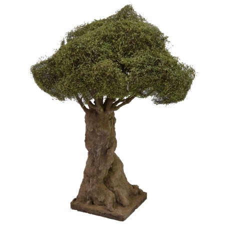 Olivo secolare ramificato altezza 27 cm