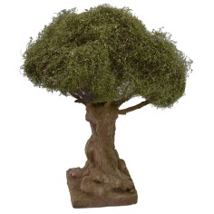 Olivo secolare altezza cm 21 h Mondo Presepi 2