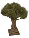 Olivo centenario altura 21 cm Mundo Pesebres