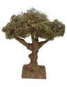 Olivo altezza cm 17,5 h Mondo Presepi