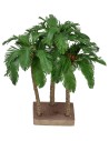 Tre palme con base cm 24-22-21 h