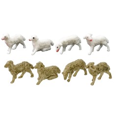 Sep 8 sheep 2.5 cm