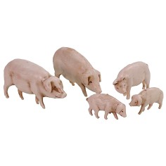 Set 5 maiali Landi Moranduzzo per statue 10 cm