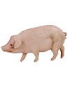 Conjunto de 3 cerdos Landi Moranduzzo para figuras de 10 cm Mundo Belenes