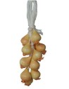 Onion strain