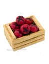 3.5 cm box with two strips with tomatoes