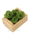 3.5 cm box with two strips with lettuce