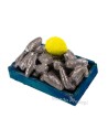 Caja de pescado Anchoas cm 3x2,4