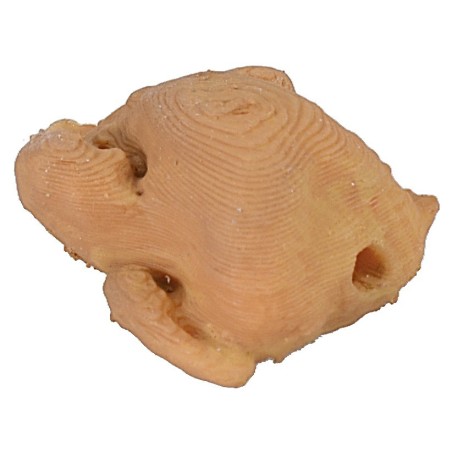 Pollo 1,7x2,3x1,2 h polli, pollo, consigliato, misure, statue