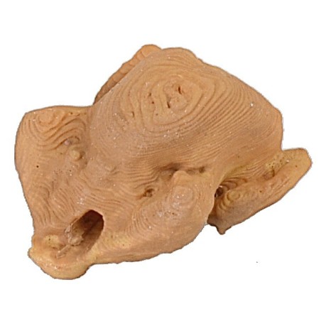 Pollo 1,7x2,3x1,2 h polli, pollo, consigliato, misure, statue