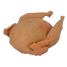 Pavo 2,2x2,7x1,3 h pollos, medidas, estatuas, recomendado.