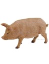 Pig for statues 15-20 cm