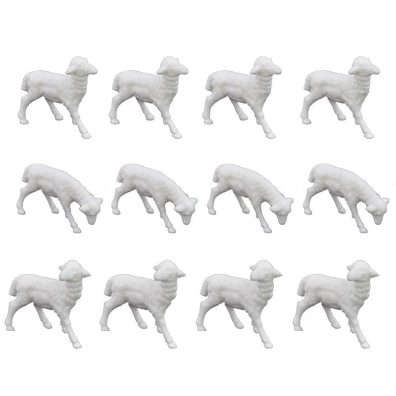 Set 12 Sheep cm 4x3 - Cod. W03