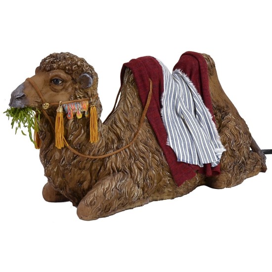 Camel lying in motion moves the mouth for statues 30 cm