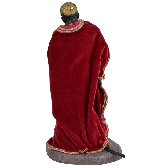 Rey Negro 30 cm en movimiento Pigini pigini, altura, movimiento