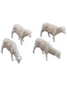 Set de 4 ovejas Landi Moranduzzo para estatuas de 12 cm