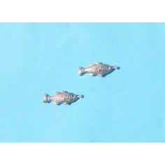 Set 2 fish - Cod. PGS2