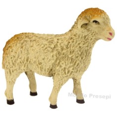 Sheep for statues 20-24 cm - high head