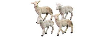Set of 4 sheep for statues cm 15 - Cod. PG18