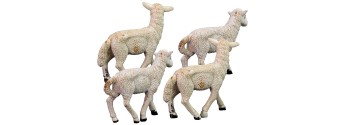 Set of 4 sheep for statues cm 15 - Cod. PG18