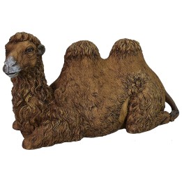 Camello sentado con cabeza girada en resina serie 30 cm Pigini