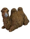 Resin camel sitting with turned head series 30 cm Pigini
