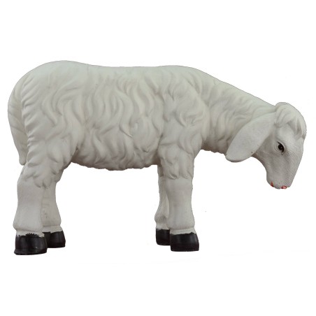 Sheep head low for statues 30 cm