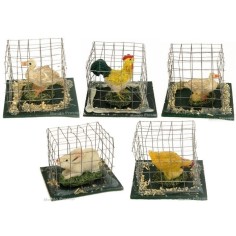 Cage 4.5x3.5x3 cm h. with: