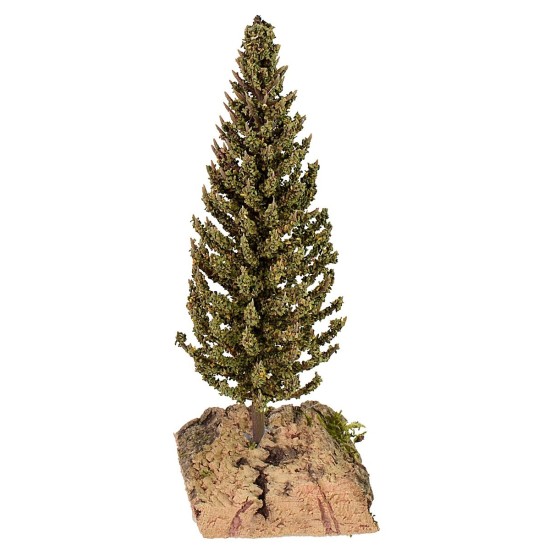 Ciprés cm 5x4x13 h estatua, ciprés, recomendado, altura