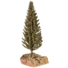 Cipresso cm 5x4x13 h