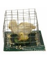 Cage 4.5x3.5x3 cm h. 