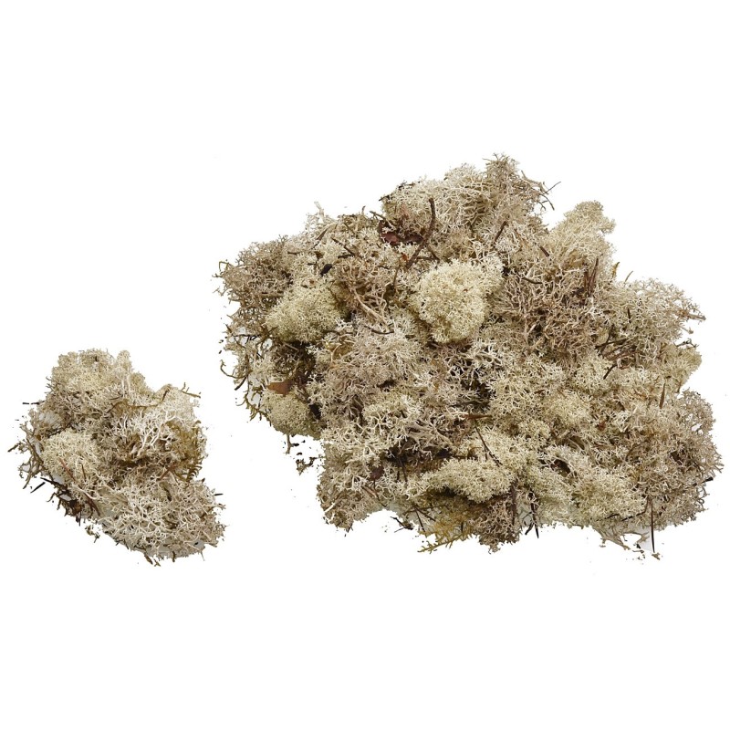 Lichen sand available in bags of: