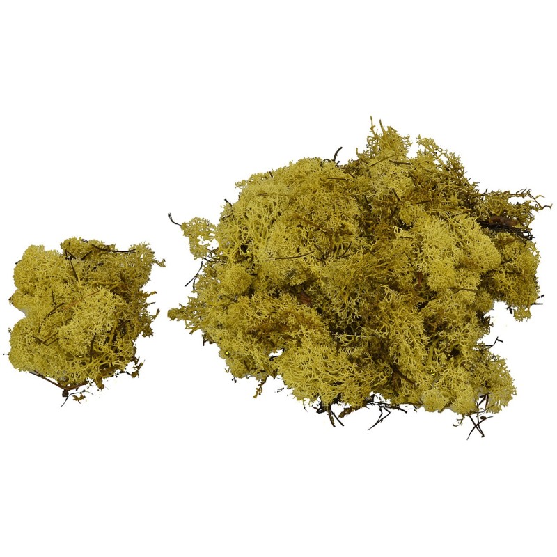 Lichene giallo-verde 1 Kg - Cod. LG1KG Mondo Presepi